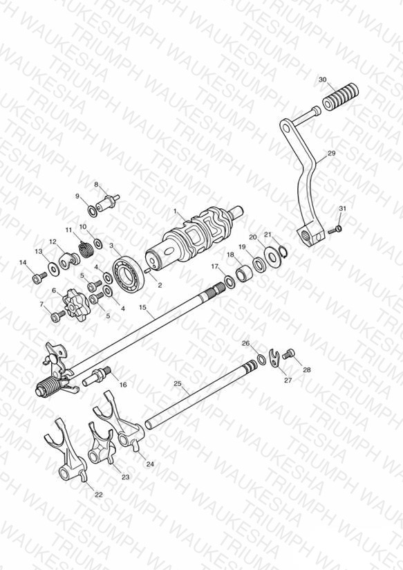 Gear Selectors and Pedal