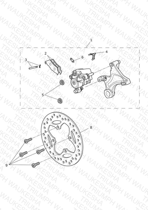 Rear Brake & Disc