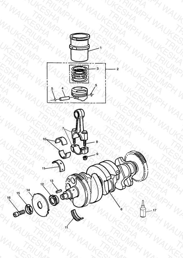Crankshaft/Conn Rod/Pistons and Liners