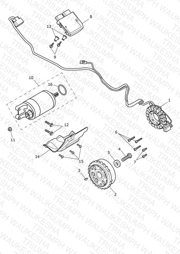 Starter & Alternator