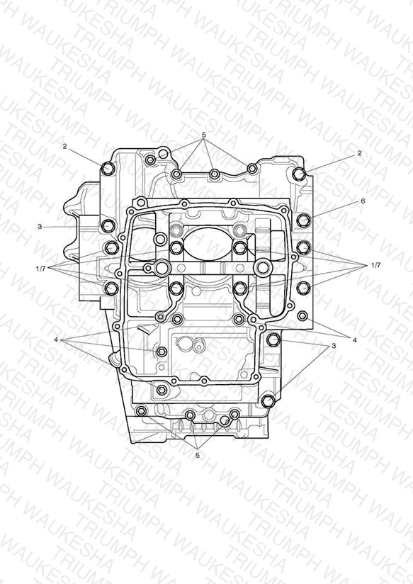 Crankcase Bolts