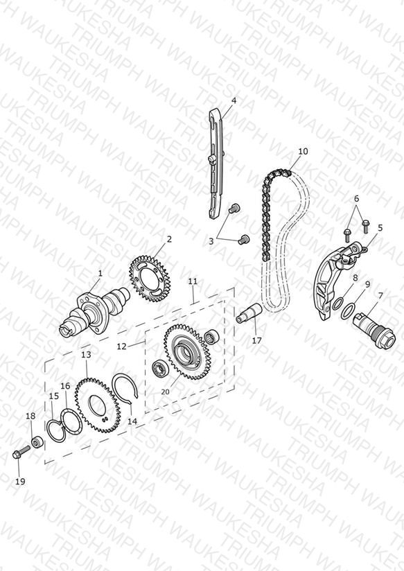Camshaft & Camshaft Drive