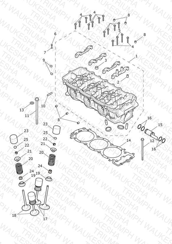 Cylinder Head & Valves