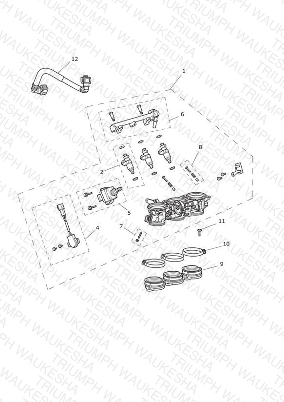 Throttles, Injectors and Fuel Rail