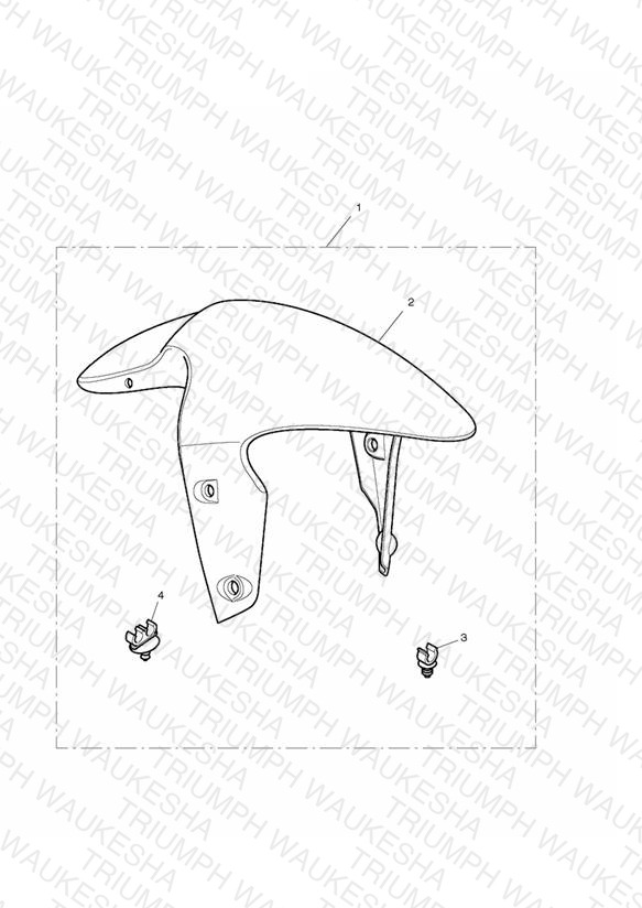 Front Mudguard Kit, Carbon Fibre