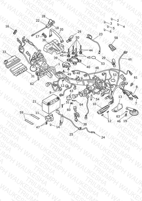 Electrical System