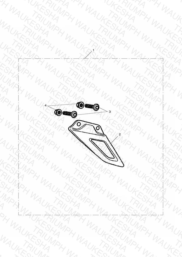 Low Chain Guard, Carbon Fibre