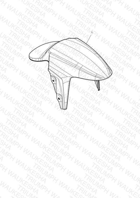 Front Mudguard Kit, Carbon