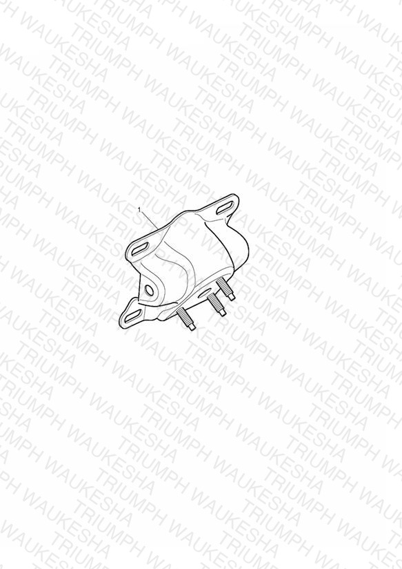 Number Plate Bracket, Chrome