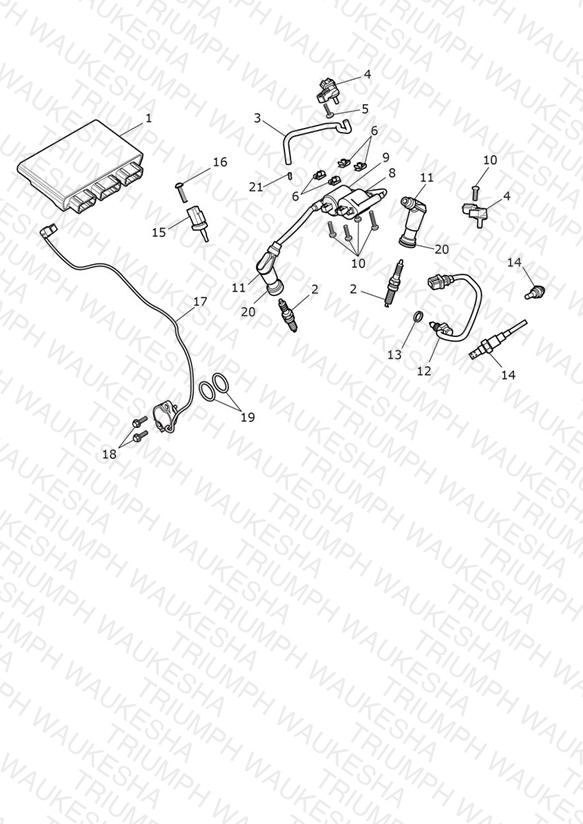 Engine Management System