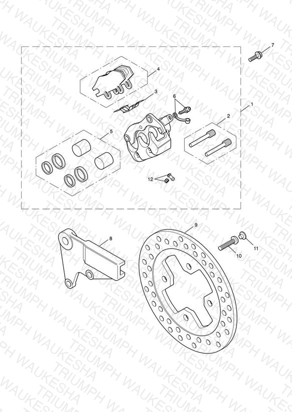 Rear Brake Caliper & Disc