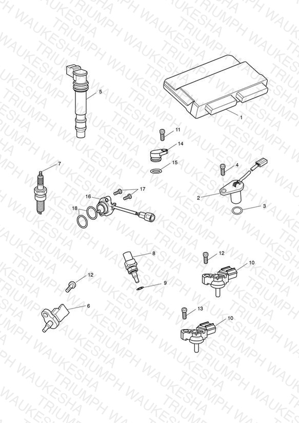 Engine Management System