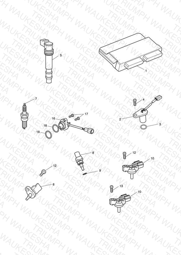 Engine Management System