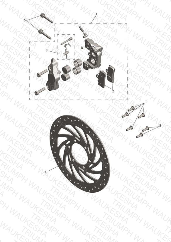 Front Caliper & Disc