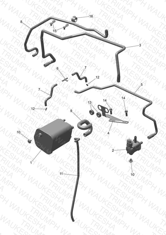 Evap System