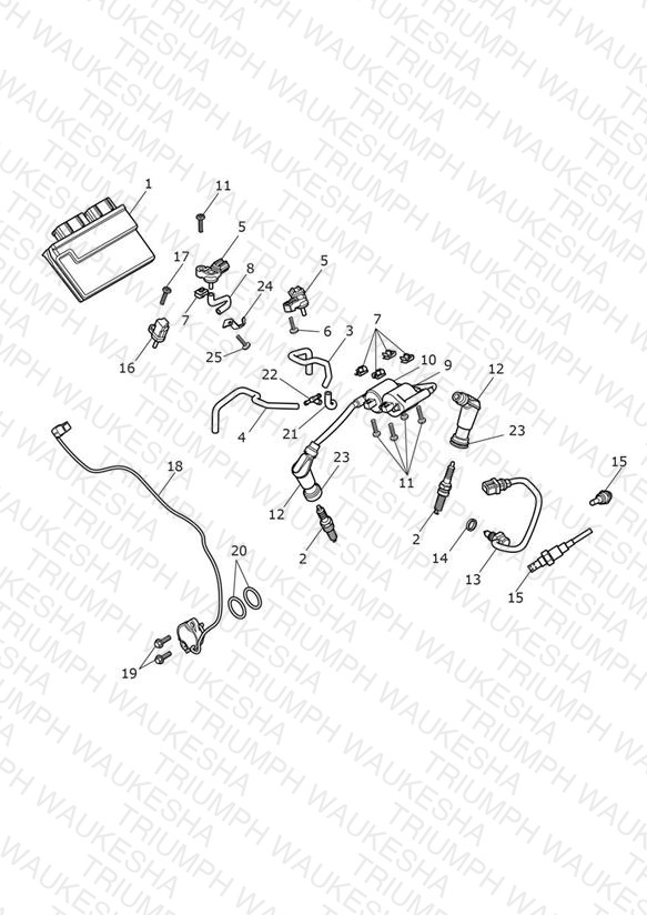 Engine Management System
