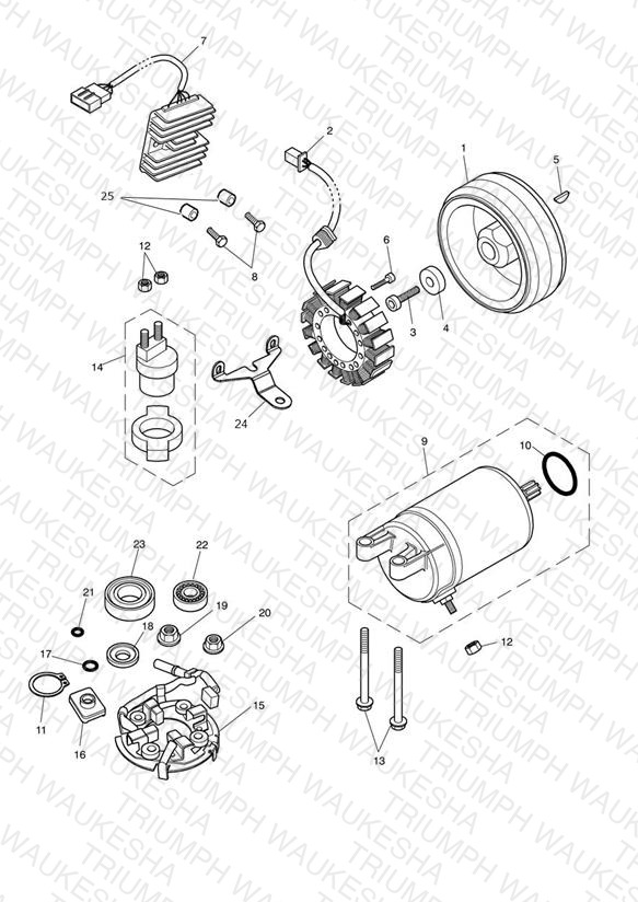 Starter & Alternator