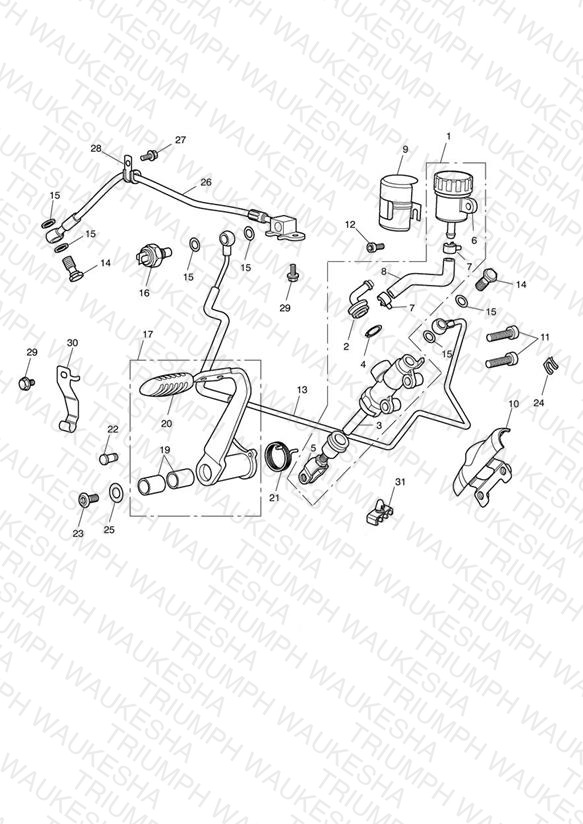 Rear Brake Master Cylinder, Reservoir & Pedal