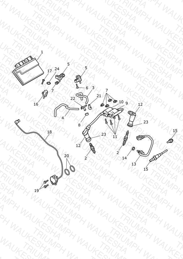 Engine Management System