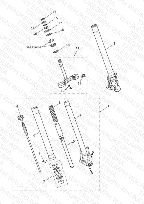 Front Forks & Lower Yoke Assy