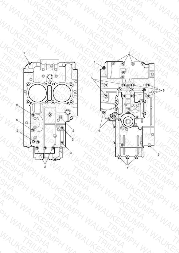 Crankcase Bolts