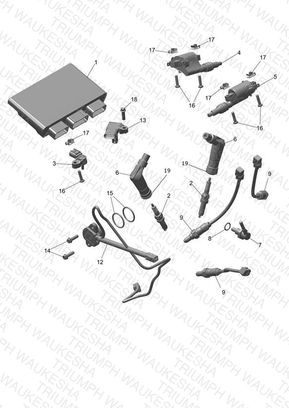 Engine Management System