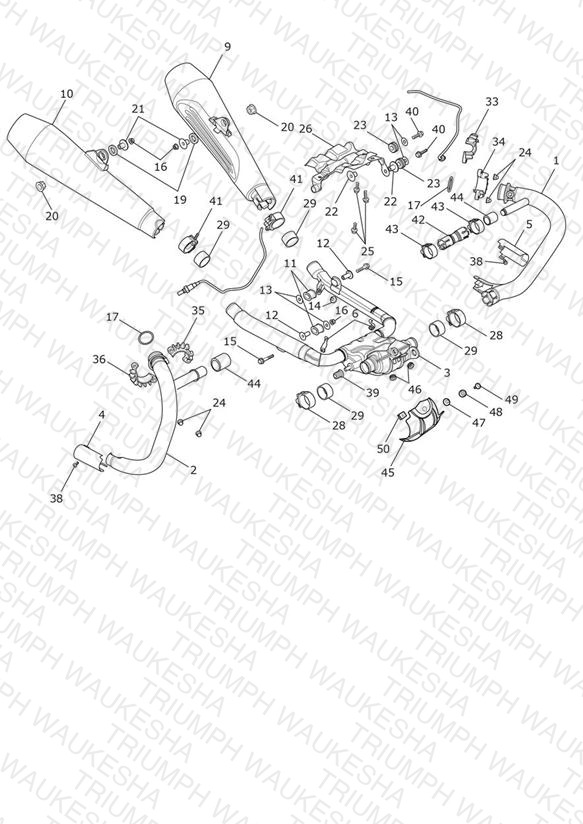 Exhaust System