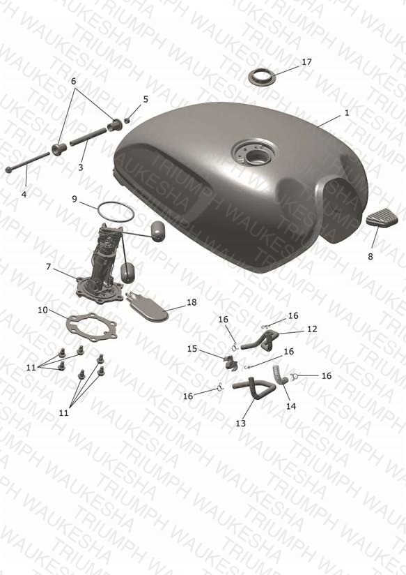 Fuel Tank & Pump