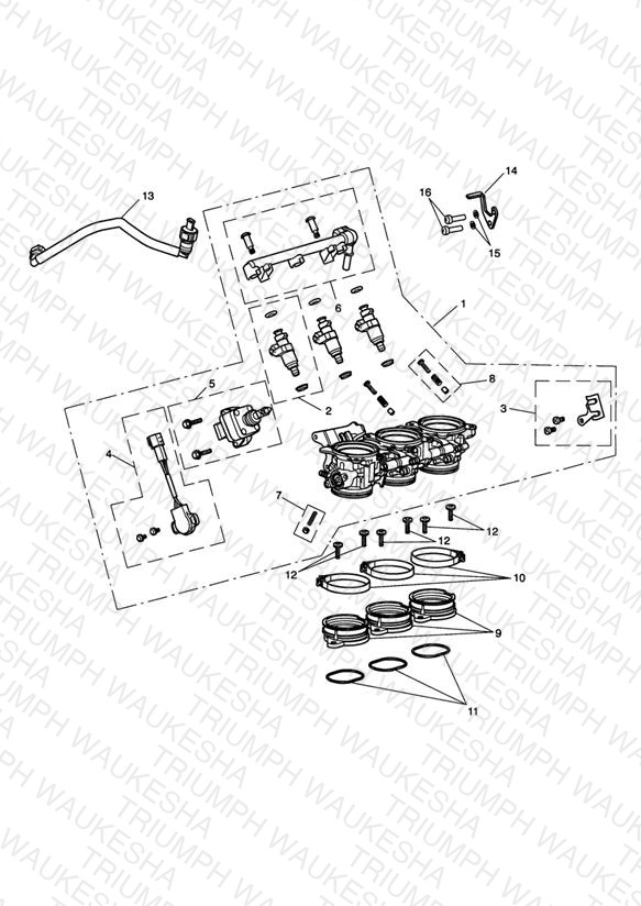 Throttles, Injectors and Fuel Rail
