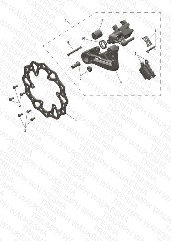 Rear Caliper & Discs