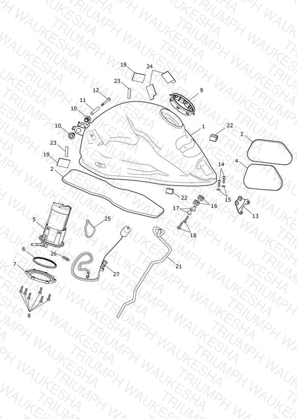 Fuel Pump & Fittings