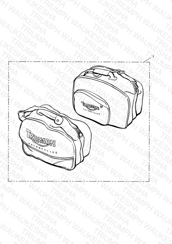Inner Bags, Panniers