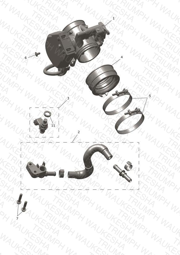 Throttle Bodies