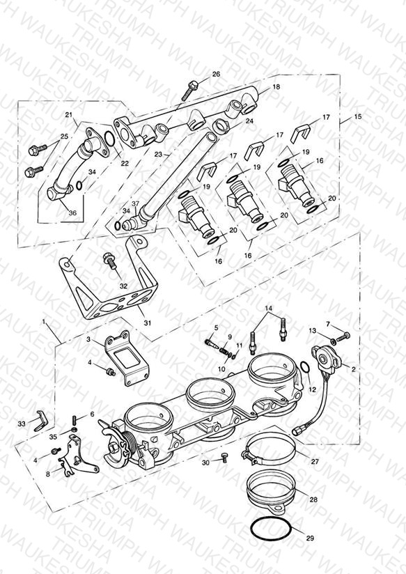 Throttles/Injectors and Fuel Rail > 207554