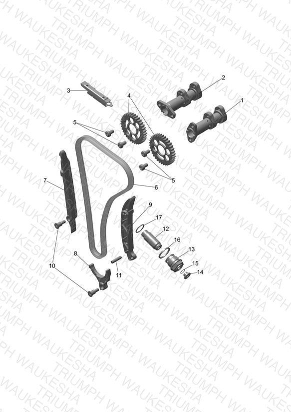 Camshaft & Camshaft Drive