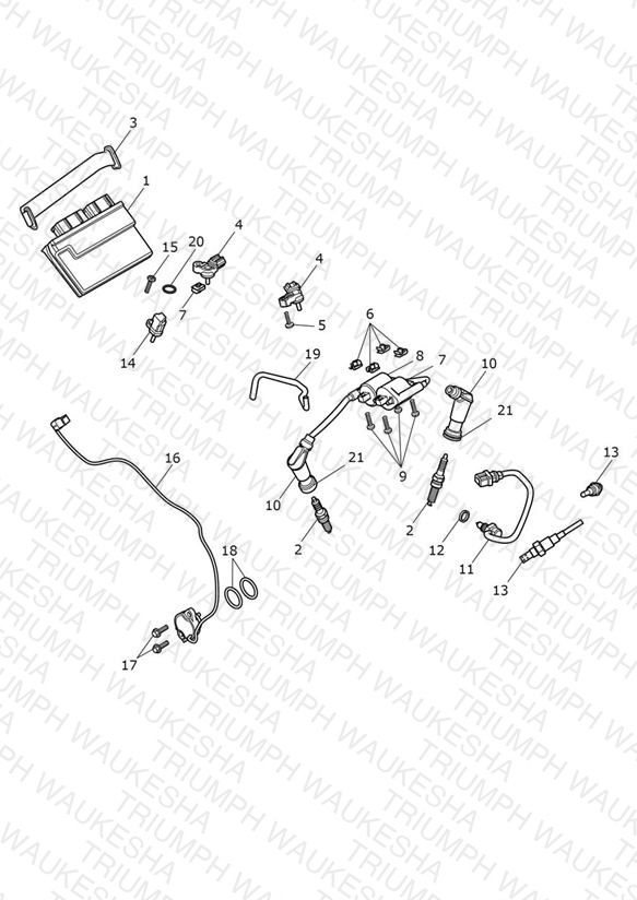 Engine Management System