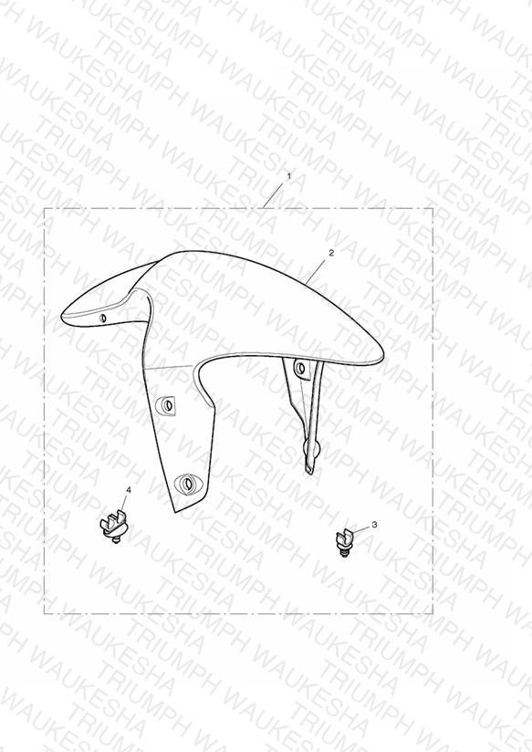 Front Mudguard Kit, Carbon Fibre
