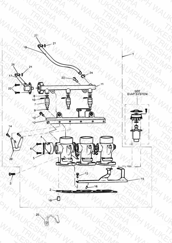 Throttles/Injectors and Fuel Rail 71699 »