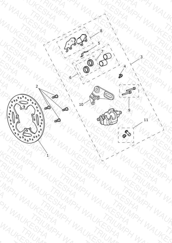 Rear Brake Caliper & Disc