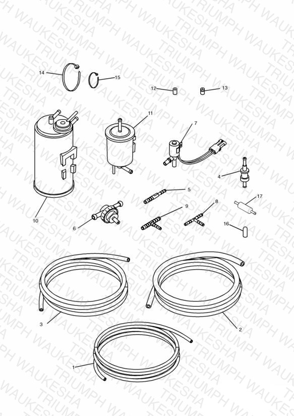 Evaporative Loss Equipment 4 Cyl (US California Models Only)