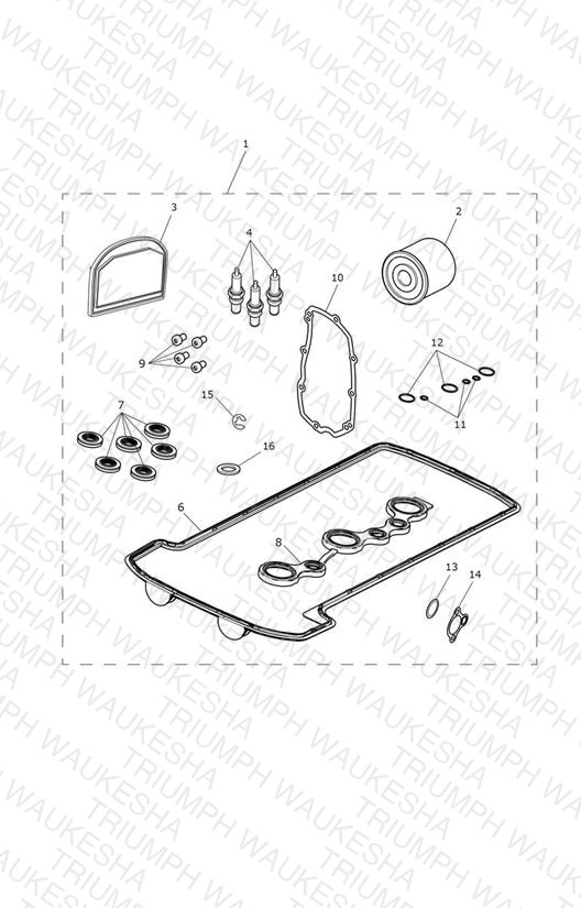 Engine Service Kit