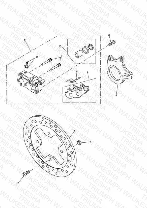Rear Brake Disc and Caliper