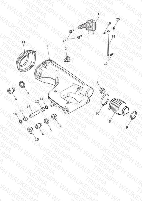 Rear Swingarm