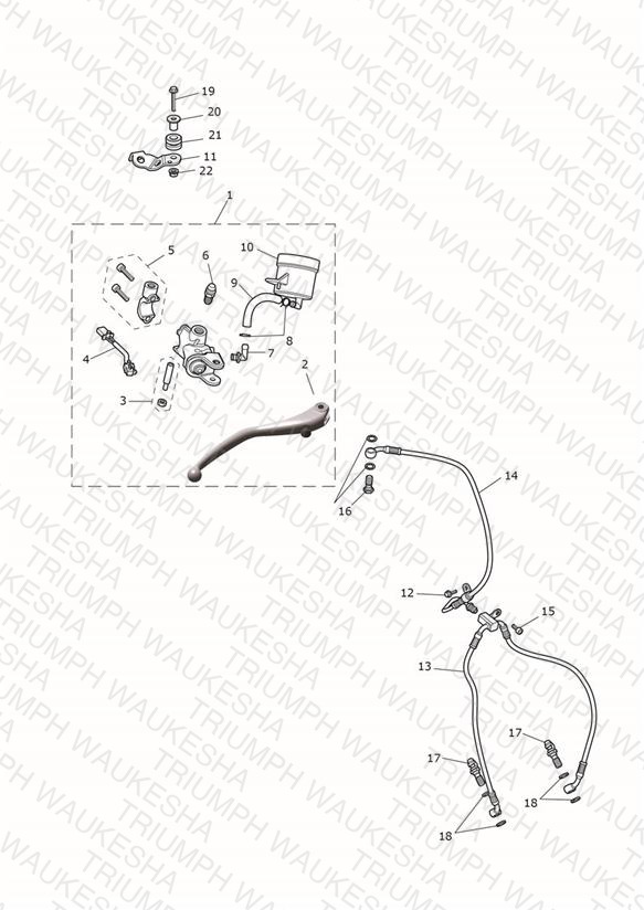 Front Brake Master Cylinder & Hoses