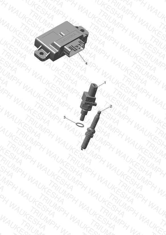 Engine Management System