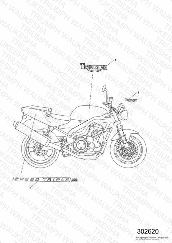 Bodywork - Decals