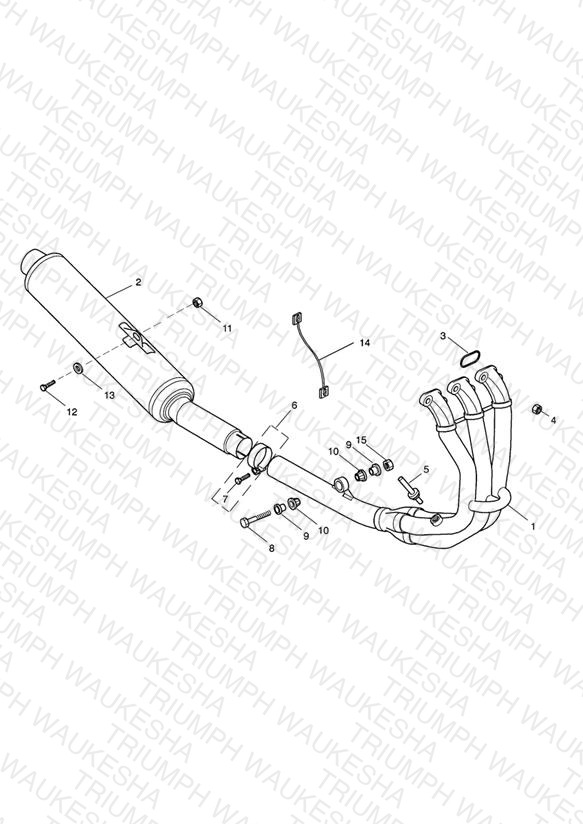 Exhaust System
