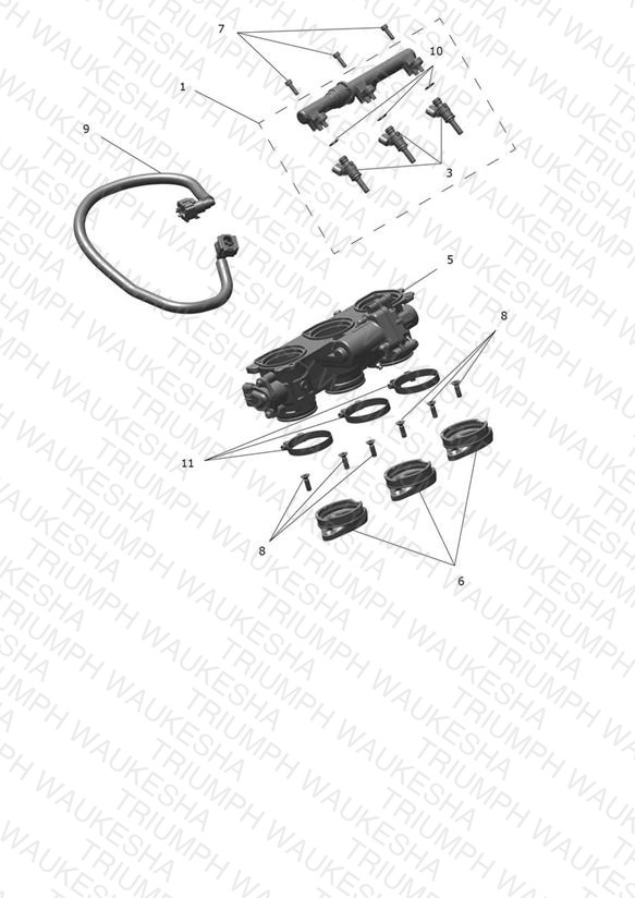 Throttle Bodies
