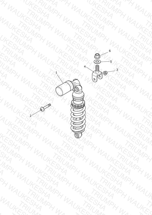 Rear Suspension Unit