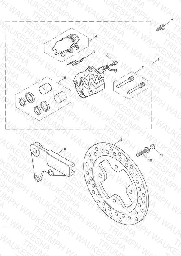 Rear Brake Caliper & Disc